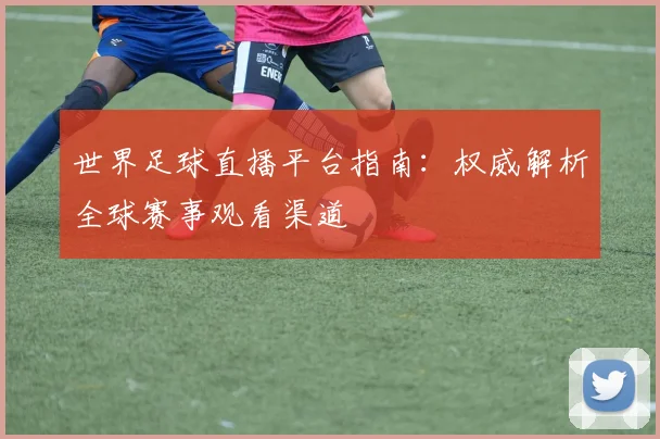 世界足球直播平台指南：权威解析全球赛事观看渠道